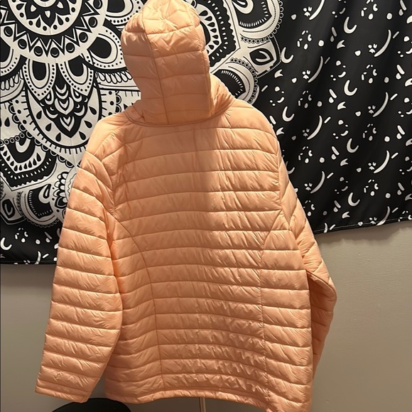 Quilted Puffer Jacket with Hood - Picture 11 of 17